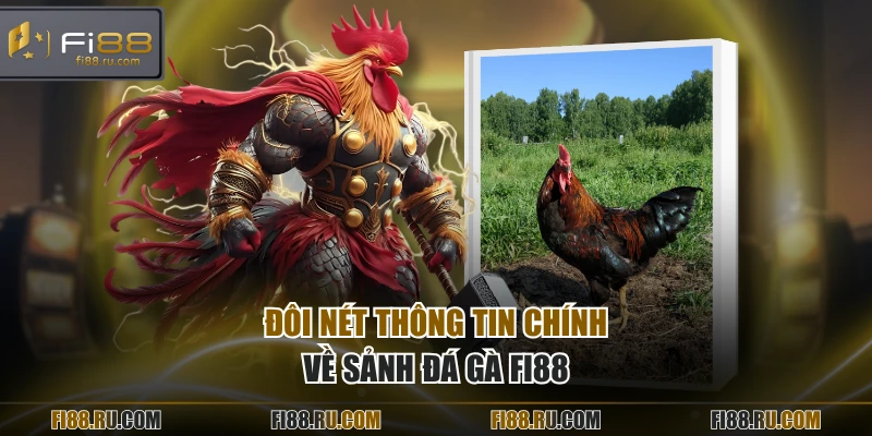 Đôi nét thông tin chính về sảnh đá gà FI88
