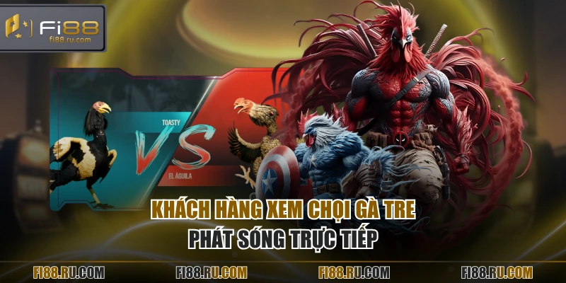 Khách hàng xem chọi gà tre phát sóng trực tiếp